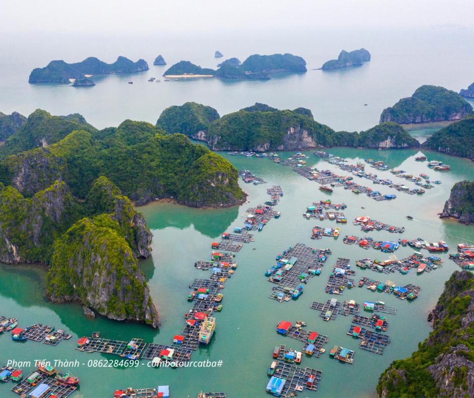 Cat Ba Bay Vision Hotel Dong Khe Sau Kültér fotó